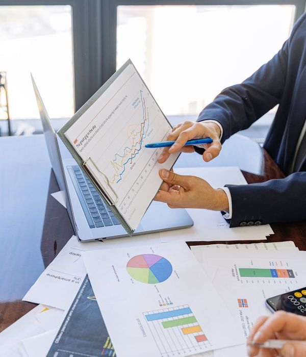 Professional man business consultant portfolio management specialist